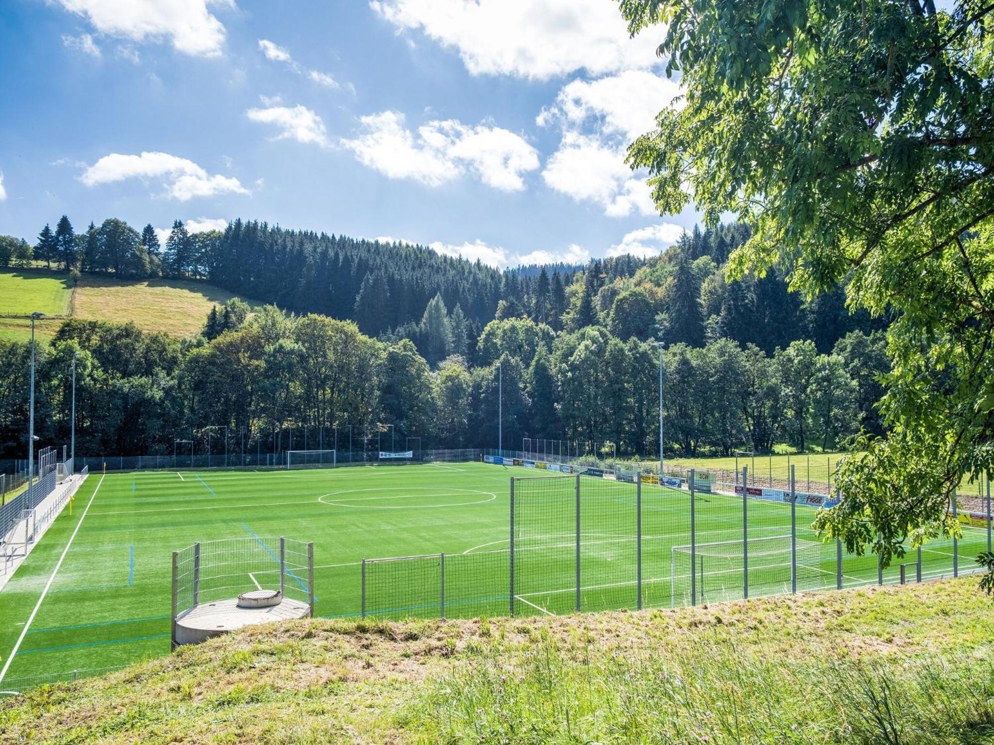 Modern Apartment In Schwalefeld With Garden Willingen  Kültér fotó