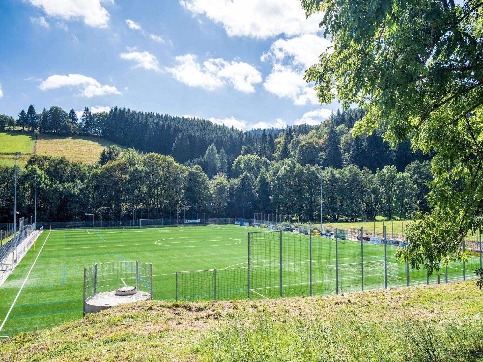 Modern Apartment In Schwalefeld With Garden Willingen  Kültér fotó
